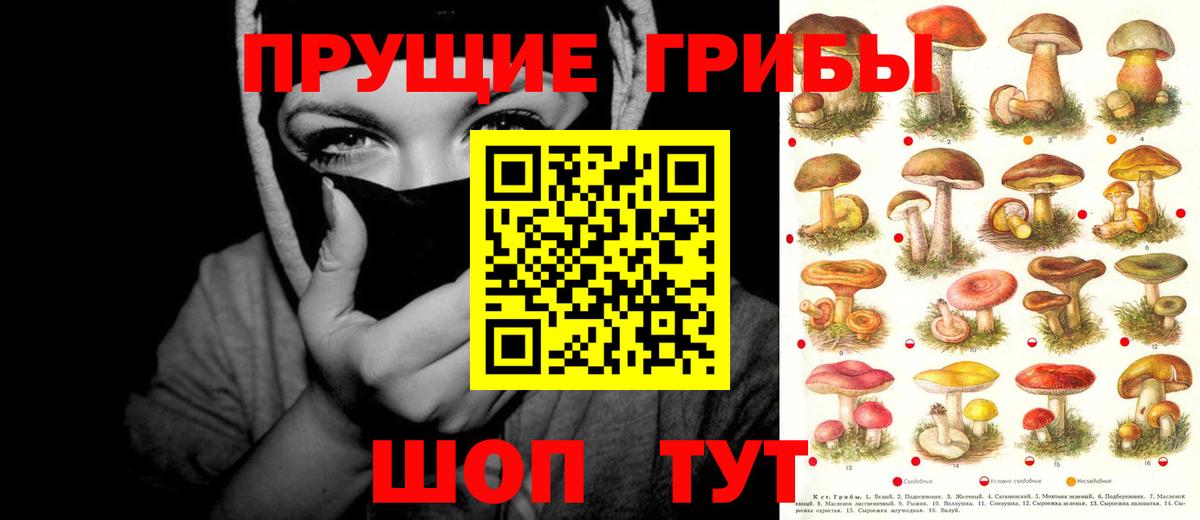 Людиново  Галлюциногенные грибы Psilocybine cubensis  Вход с VPN  Галлюциногенные грибы мухоморы 