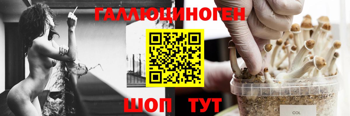 Галлюциногенные грибы MAGIC MUSHROOMS Людиново
