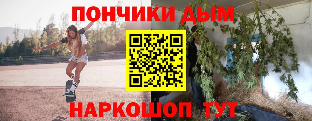 Конопля ГИДРОПОН  Конопля сатива  Вход с VPN  Канабис планчик  Людиново 
